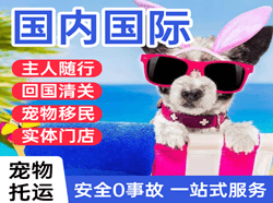 宁波栎社国际宠物托运 【国